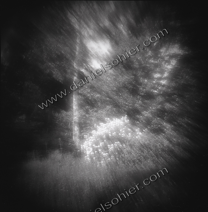 LE PARC - JARDIN FAVIER - Cherbourg en Cotentin - Manche - France 1986 - Hasselblad 6x6 argentique Photographie N° JF 09 LE PARC - JARDIN FAVIER - Cherbourg en Cotentin - Manche - France 1986 - Hasselblad 6x6 argentique Photographie N° JF 09