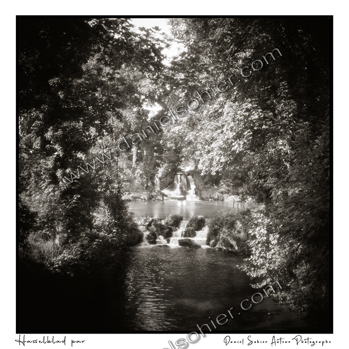 Création photographique noir et blanc argentique