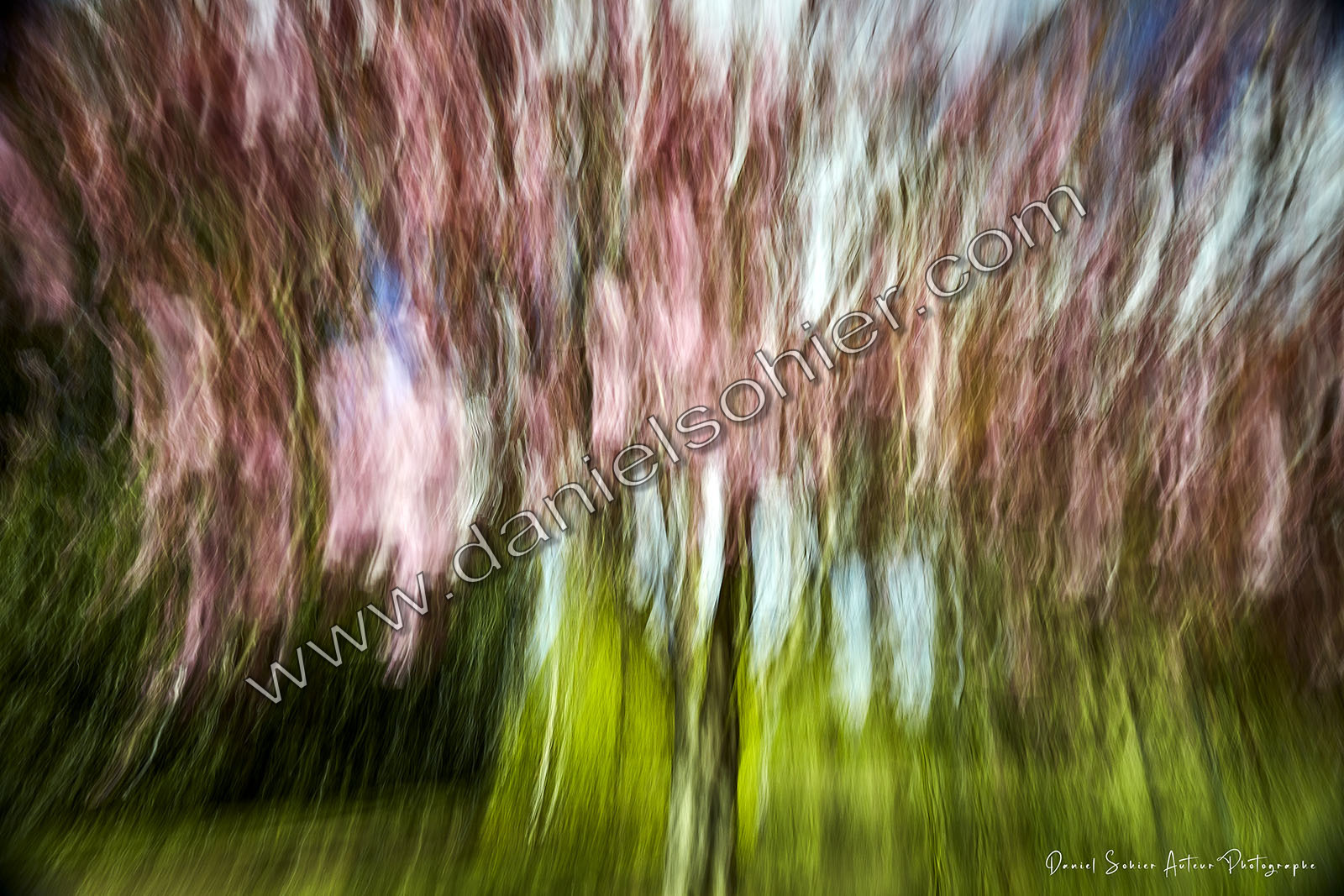 ICM Paysage