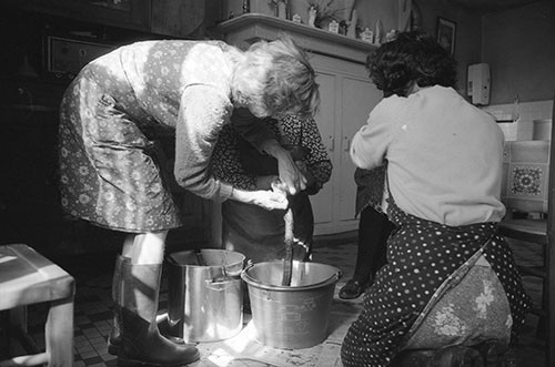 La journée du Cochon