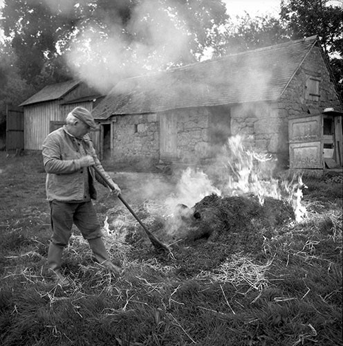La journée du Cochon