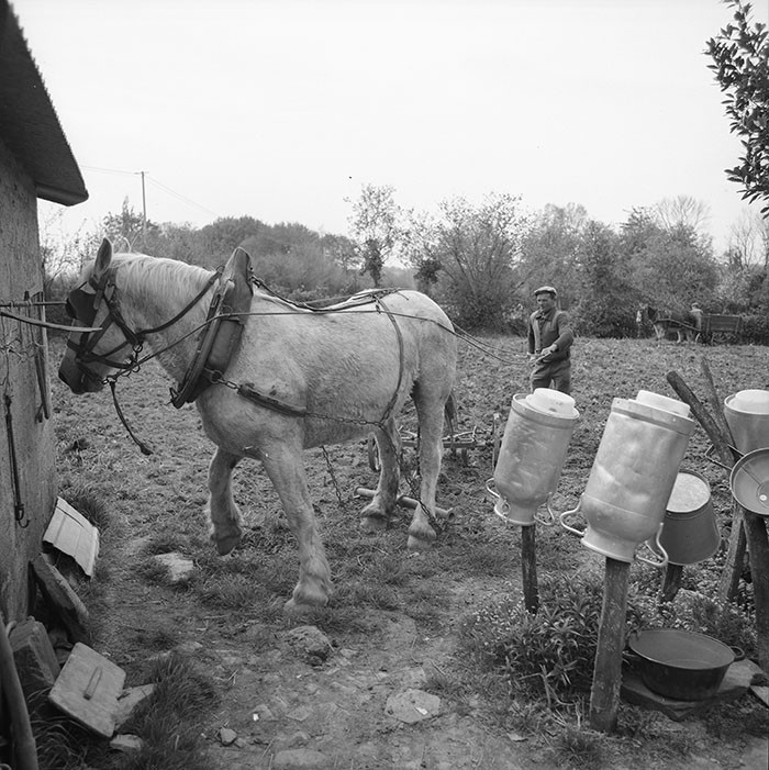 Le champ derrière la ferme