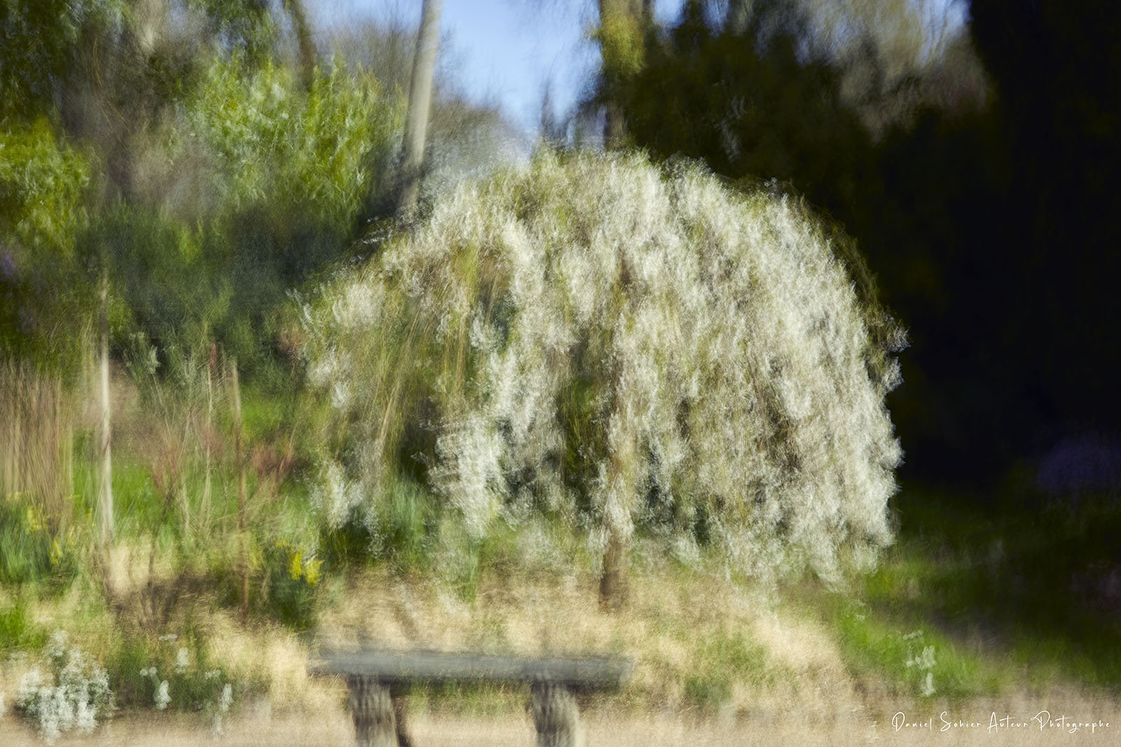 ICM Nature