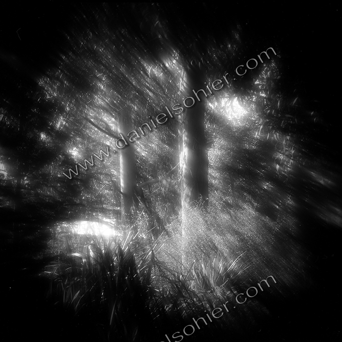 LE PARC - JARDIN FAVIER - Cherbourg en Cotentin - Manche - France 1986 - Hasselblad 6x6 argentique Photographie N° JF 04