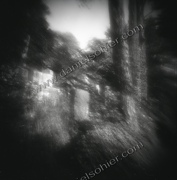 LE PARC - JARDIN FAVIER - Cherbourg en Cotentin - Manche - France 1986 - Hasselblad 6x6 argentique Photographie N° JF 05 LE PARC - JARDIN FAVIER - Cherbourg en Cotentin - Manche - France 1986 - Hasselblad 6x6 argentique Photographie N° JF 05