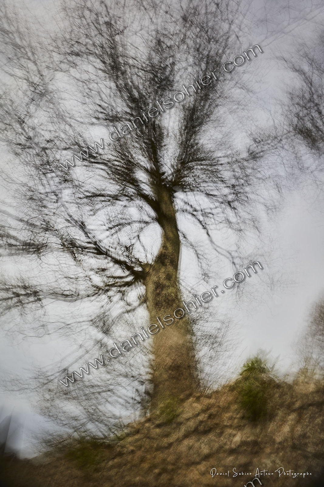 ICM Paysage