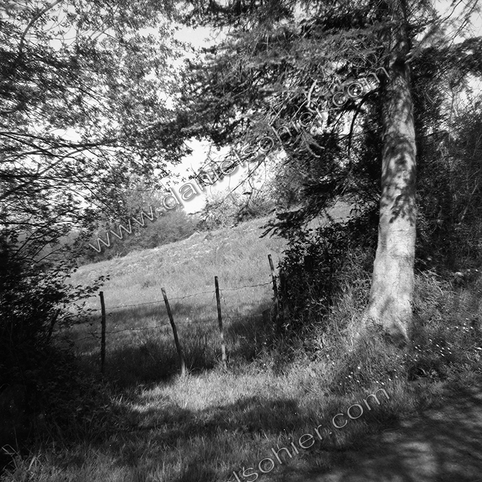Création Noir&Blanc