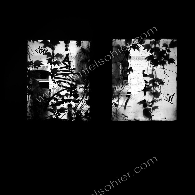 Site Simon Freres