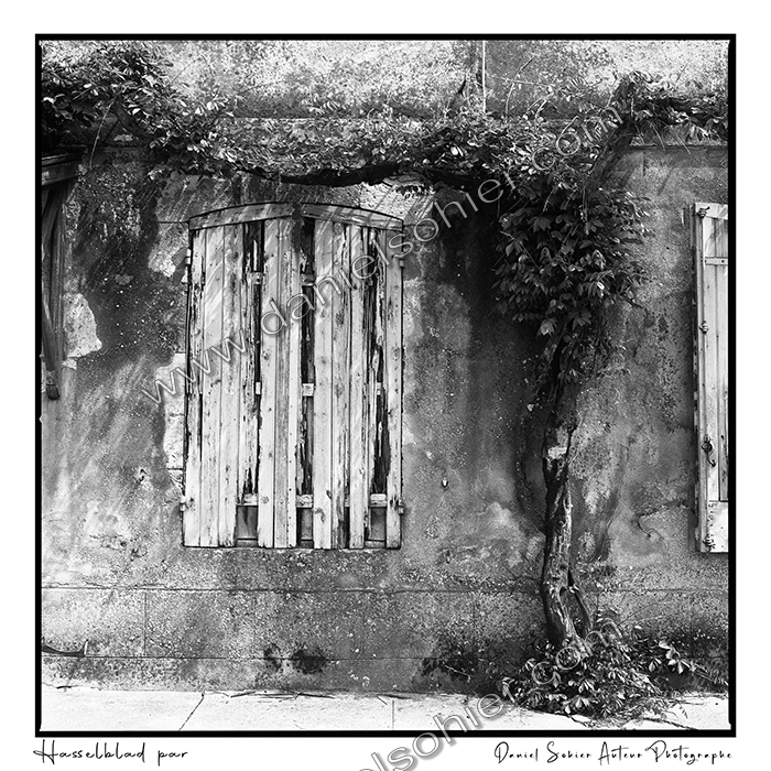 Création photographique noir et blanc argentique
