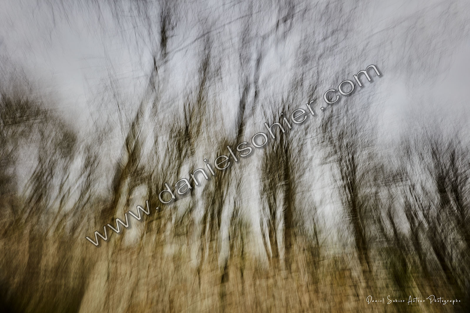 ICM Paysage