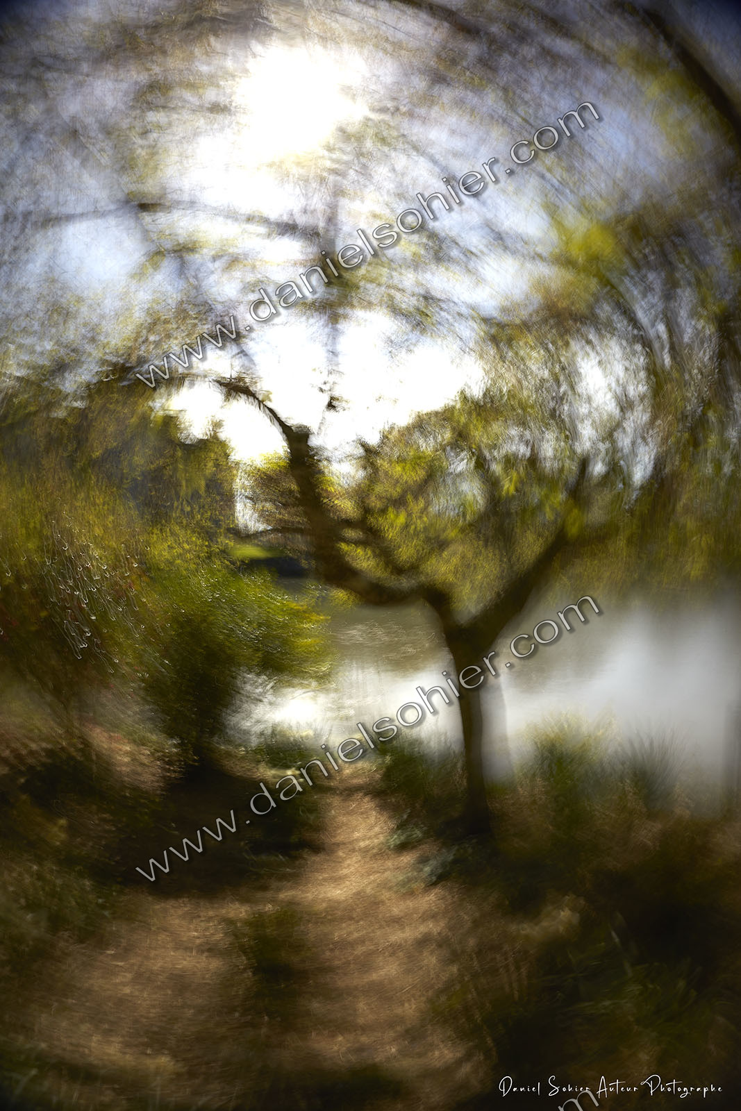 ICM Paysage