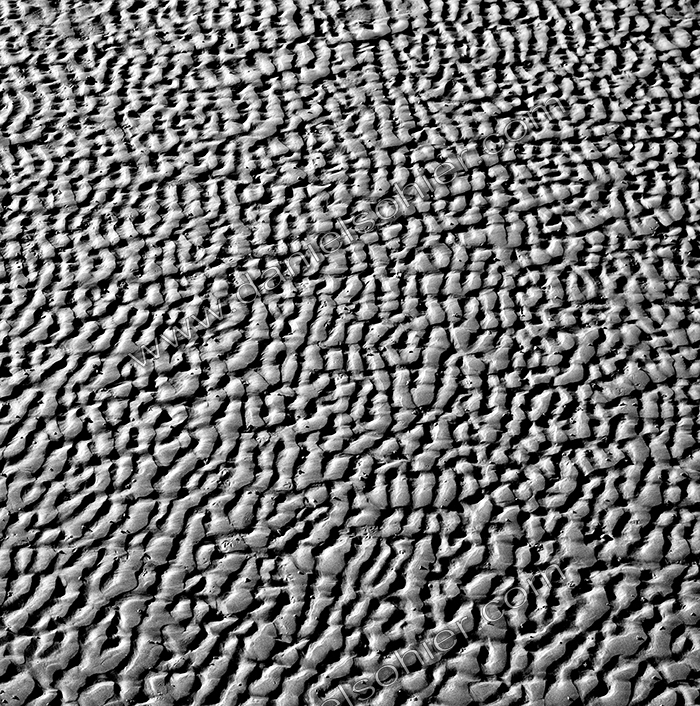 NOIR & BLANC